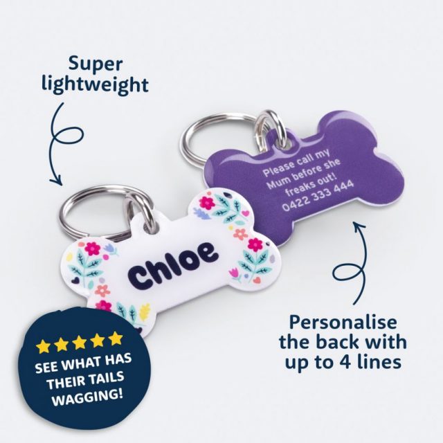 Dog Tags For Pets What To Write on Dog Tag BSB
