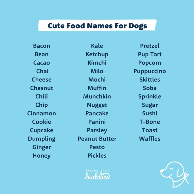 Top 200 Dog Names Cute Dog Names You'll Love BSB