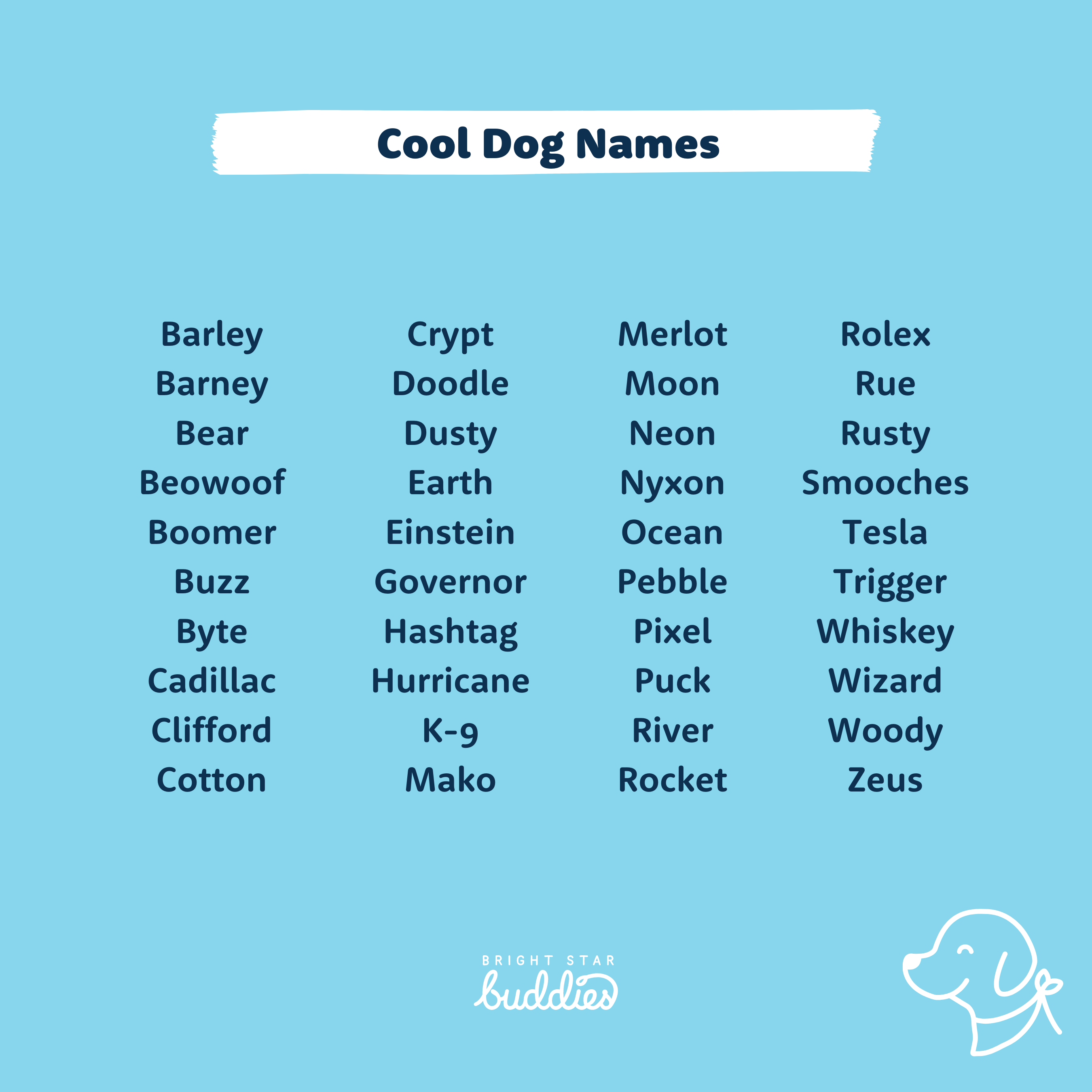 Top 200 Dog Names Cute Dog Names You'll Love BSB