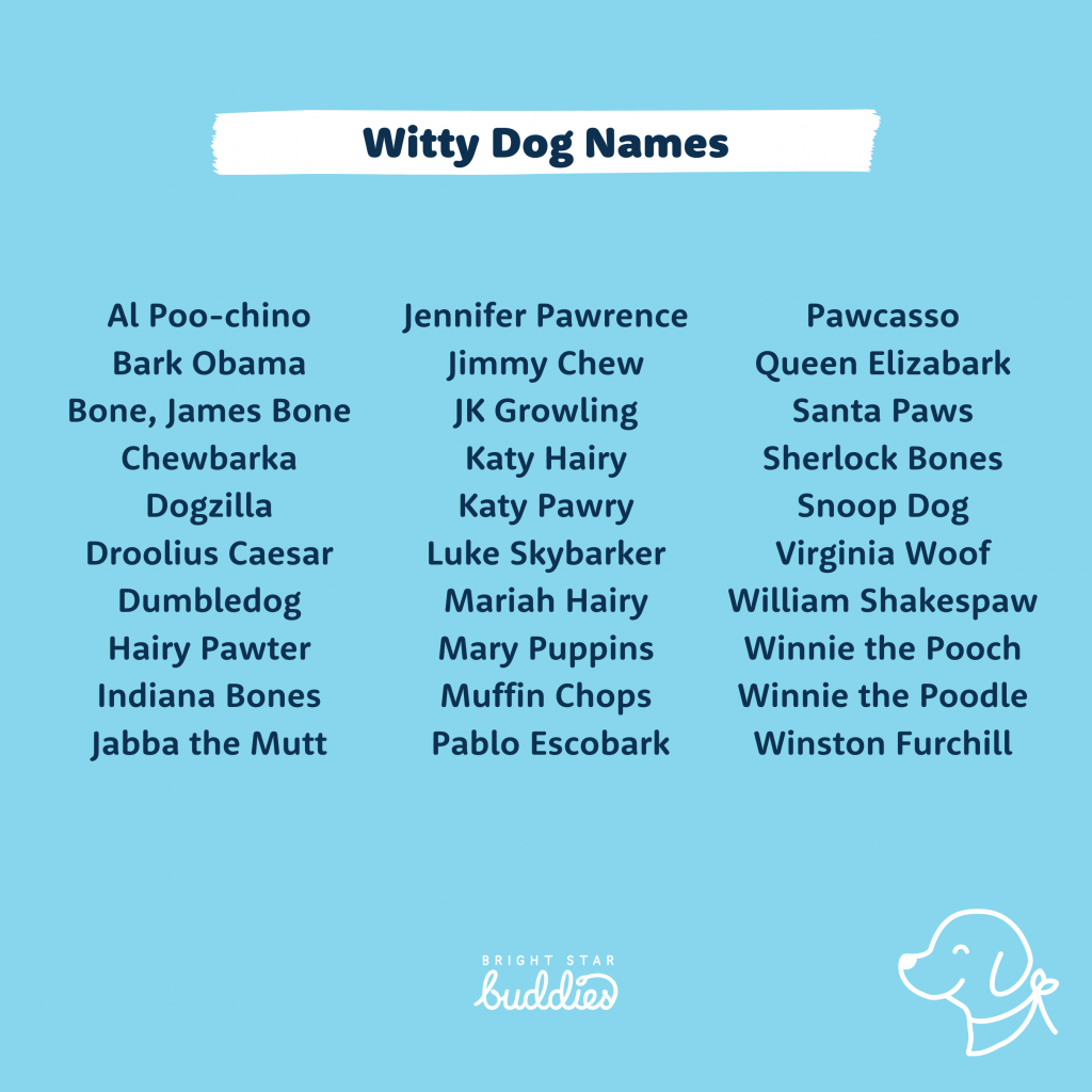 Top 200 Dog Names Cute Dog Names You'll Love BSB
