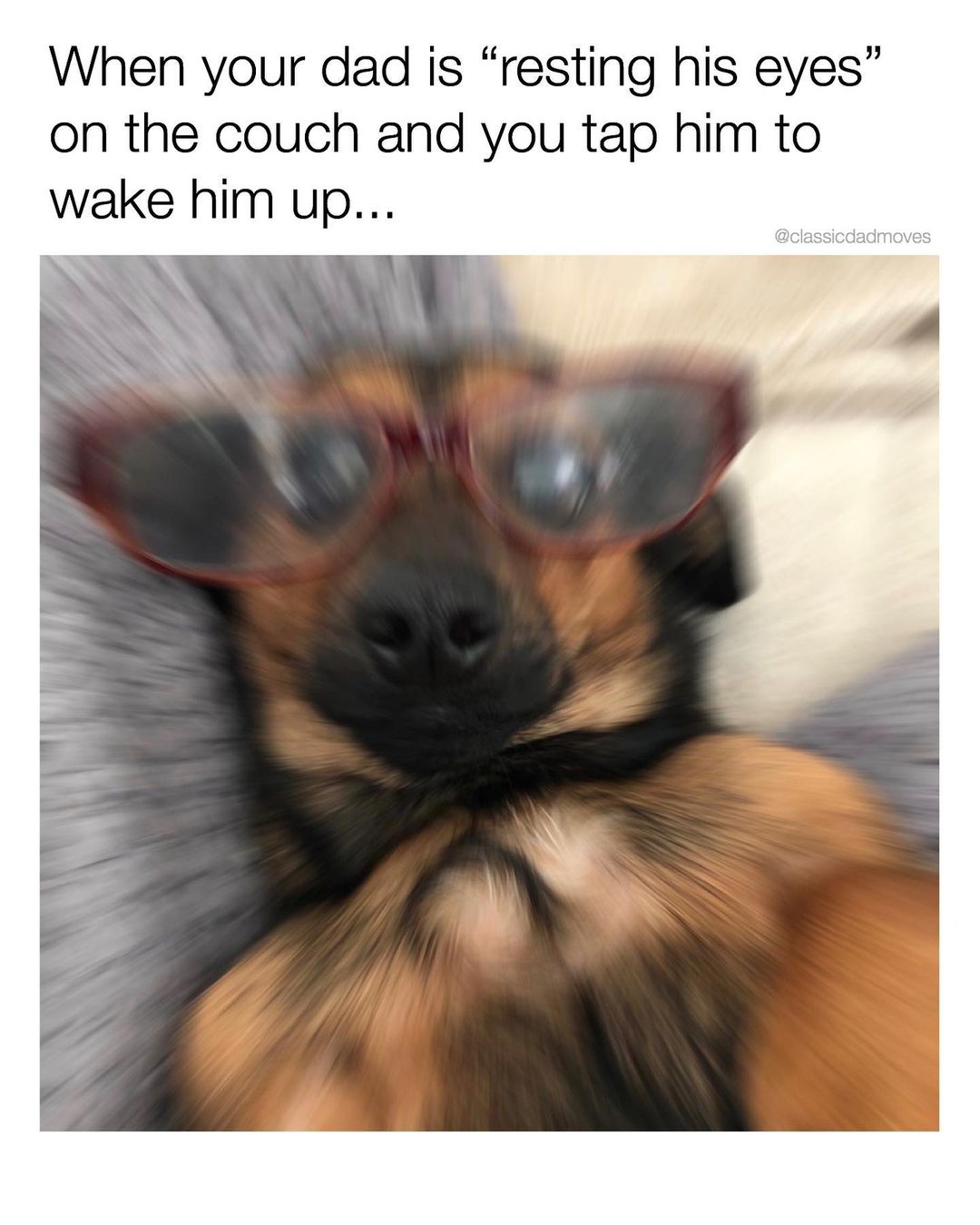 Dad and Dog Meme