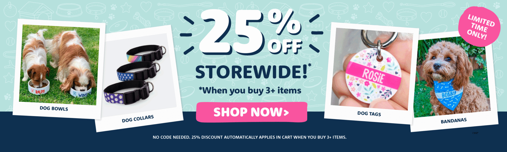 5 Hacks on How To Keep Dogs Cool In Summer BSB