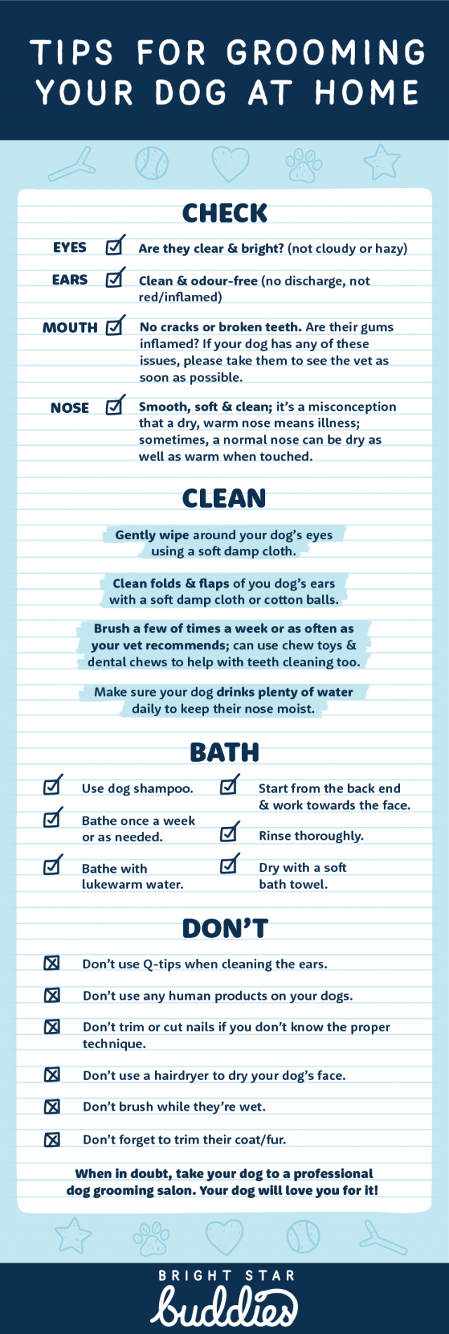 How To Groom A Dog Tips On Dog Grooming At Home BSB How To Groom A Dog Tips On Dog Grooming At Home BSB