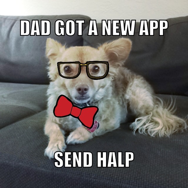 Dad and Dog Meme