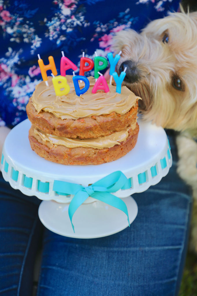 dog cake