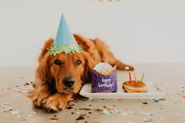 Dog Birthday Cake