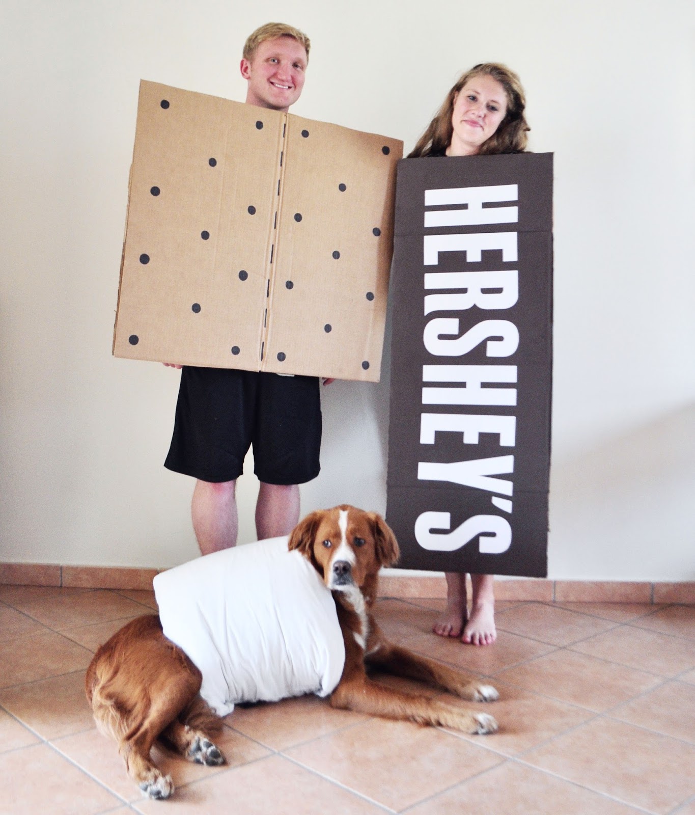 Cute Dog And Owner Halloween Costumes