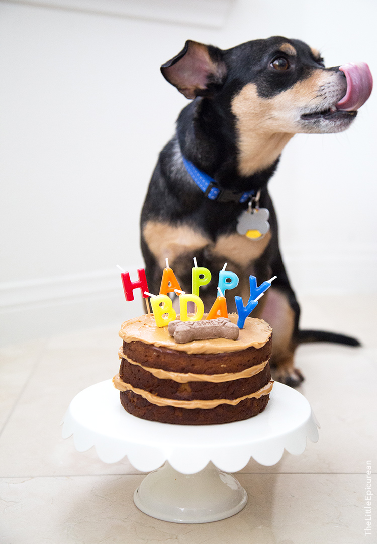 dog cake