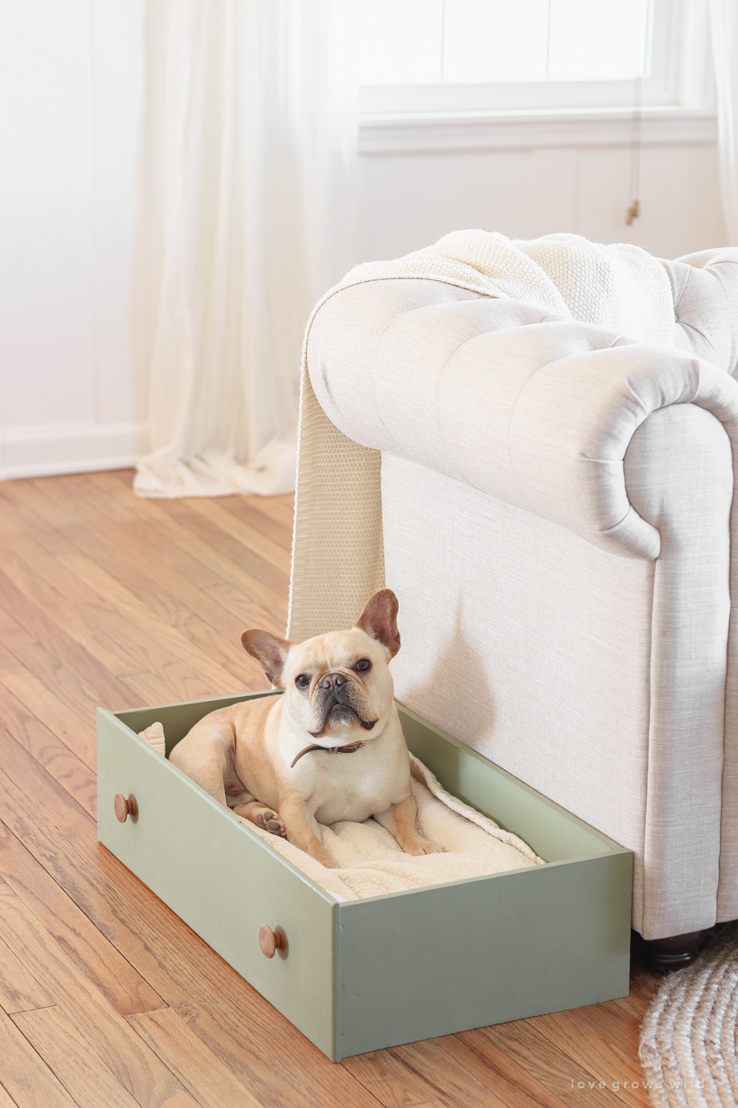 dog beds dog beds