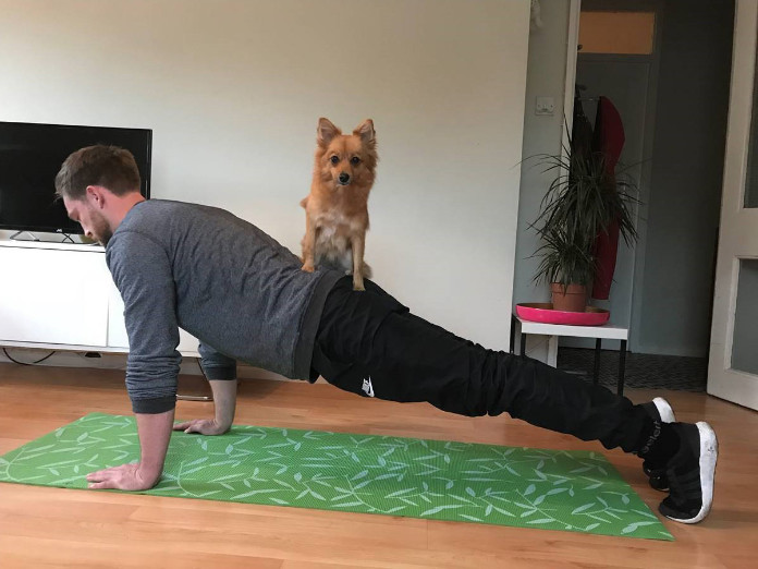 Workout With Your Dog