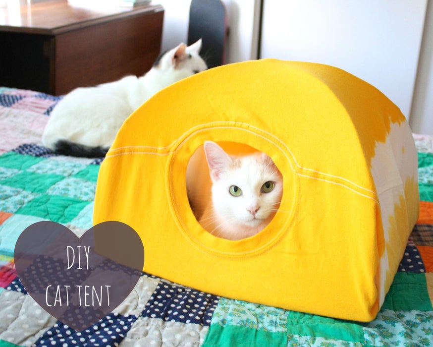 DIY Cat Toys DIY Cat Toys