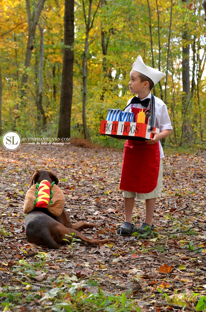 Cute Dog And Owner Halloween Costumes