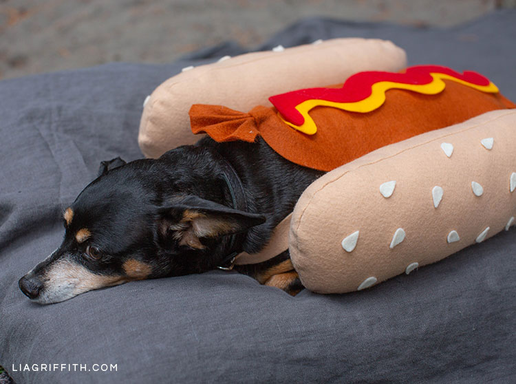 Funny Dog Costumes Funny Dog Costumes