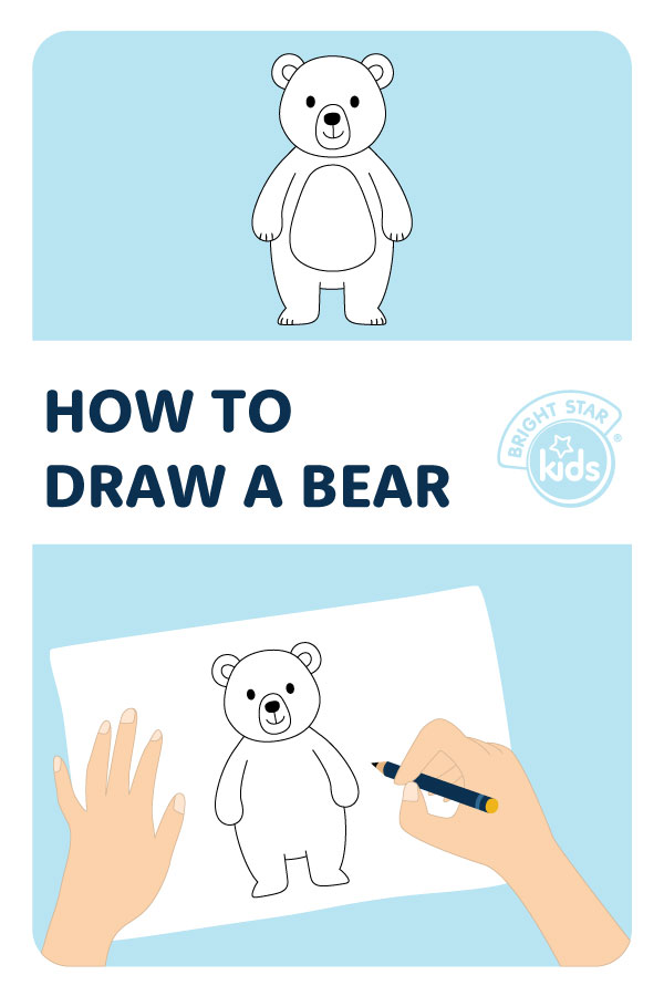 How To Draw A Bear