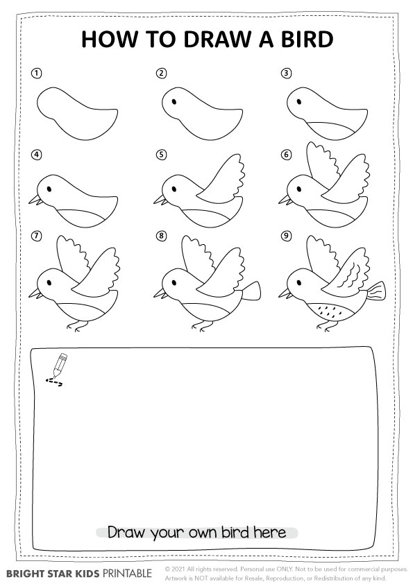 How To Draw A Bird
