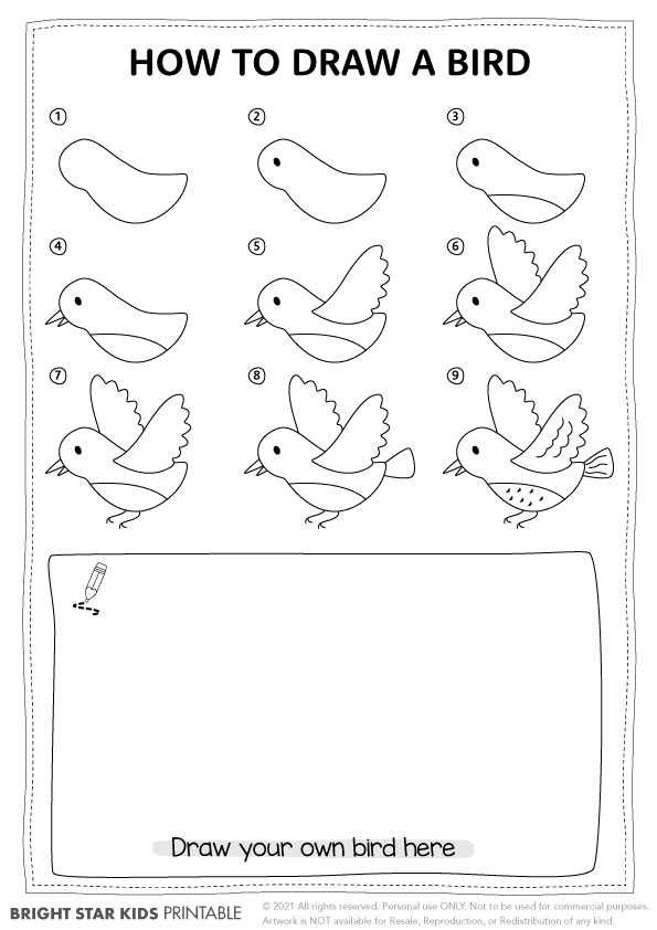 How to Draw a Bird Easy Printable Lesson For Kids