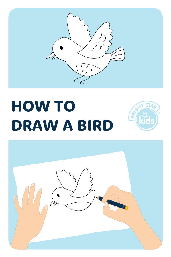 How To Draw A Bird