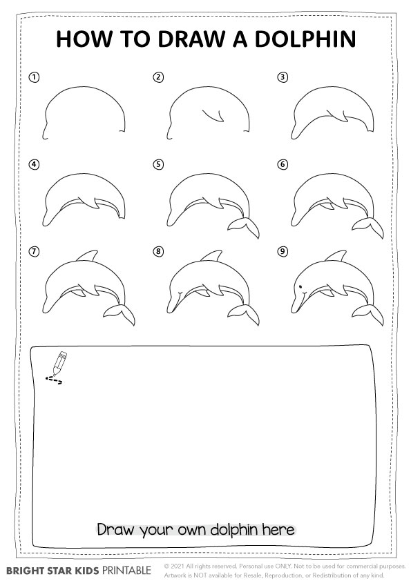 How To Draw A Dolphin