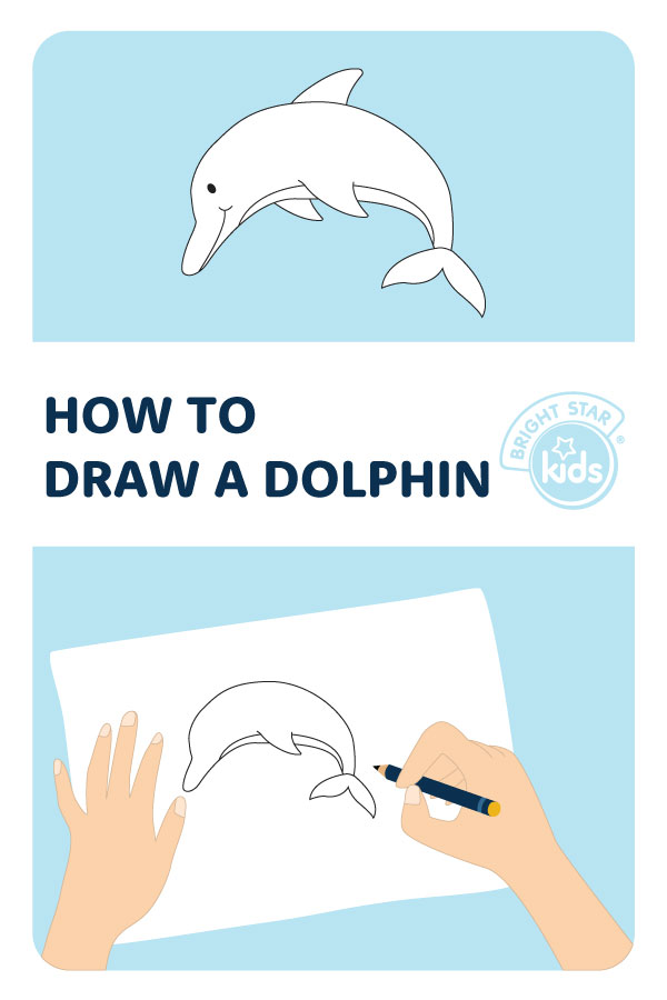 How To Draw A Dolphin