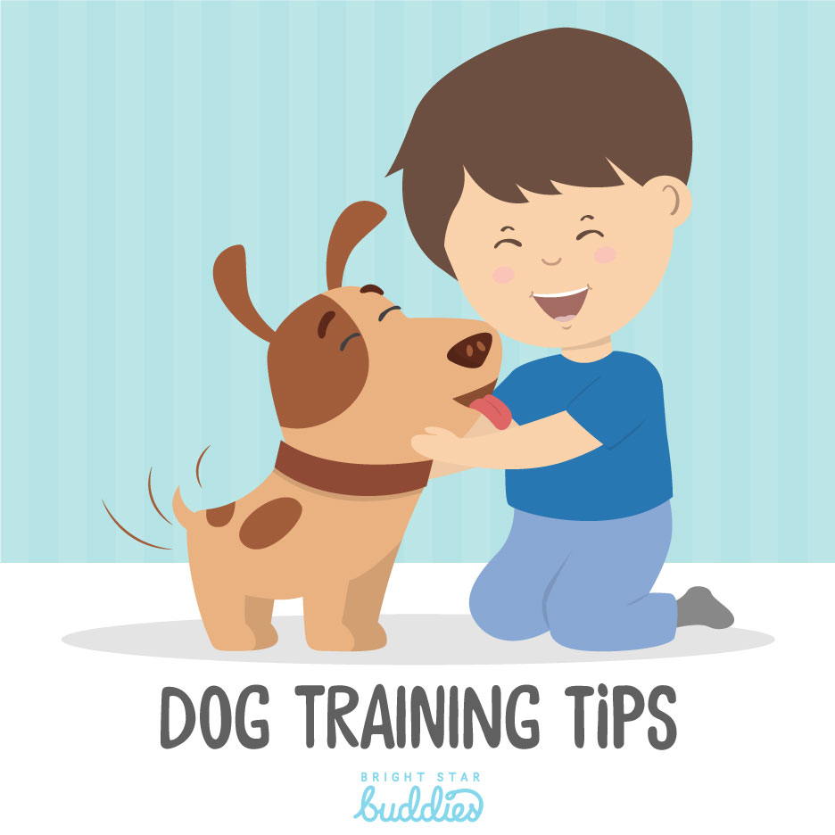 Dog Training How To Teach Your Dog Basic Commands BSB