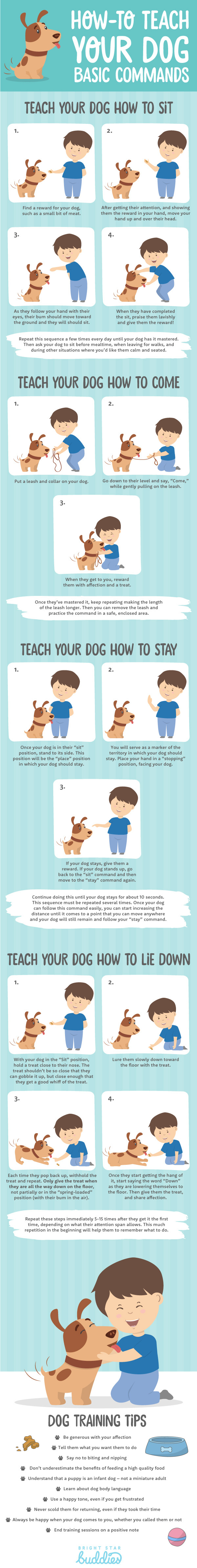 dog training