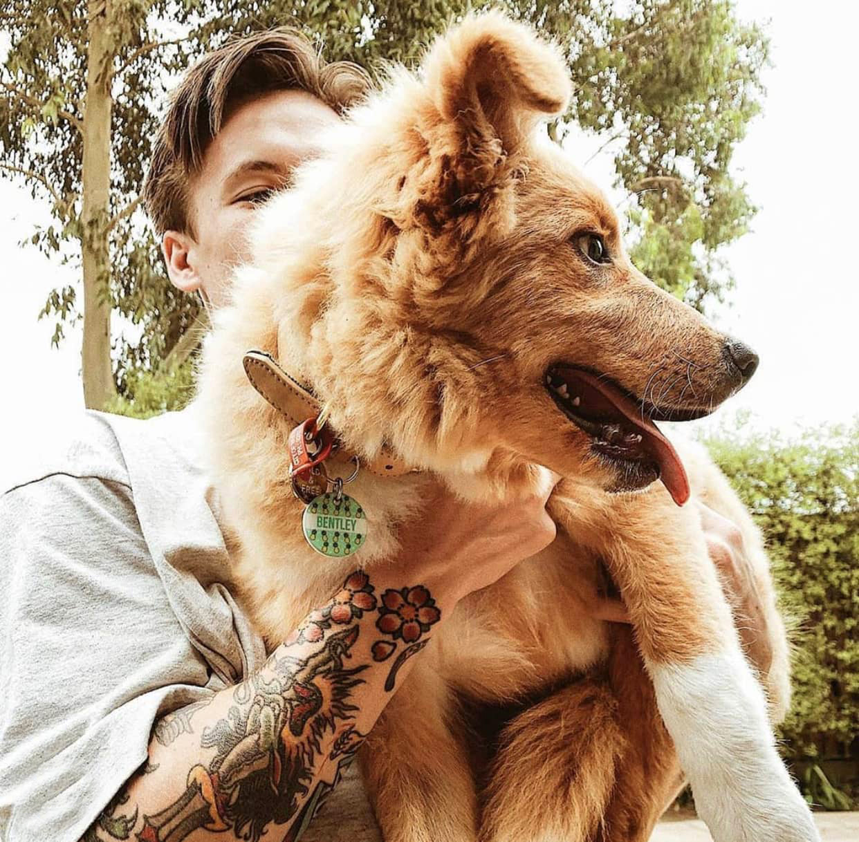 dog gifts dog gifts