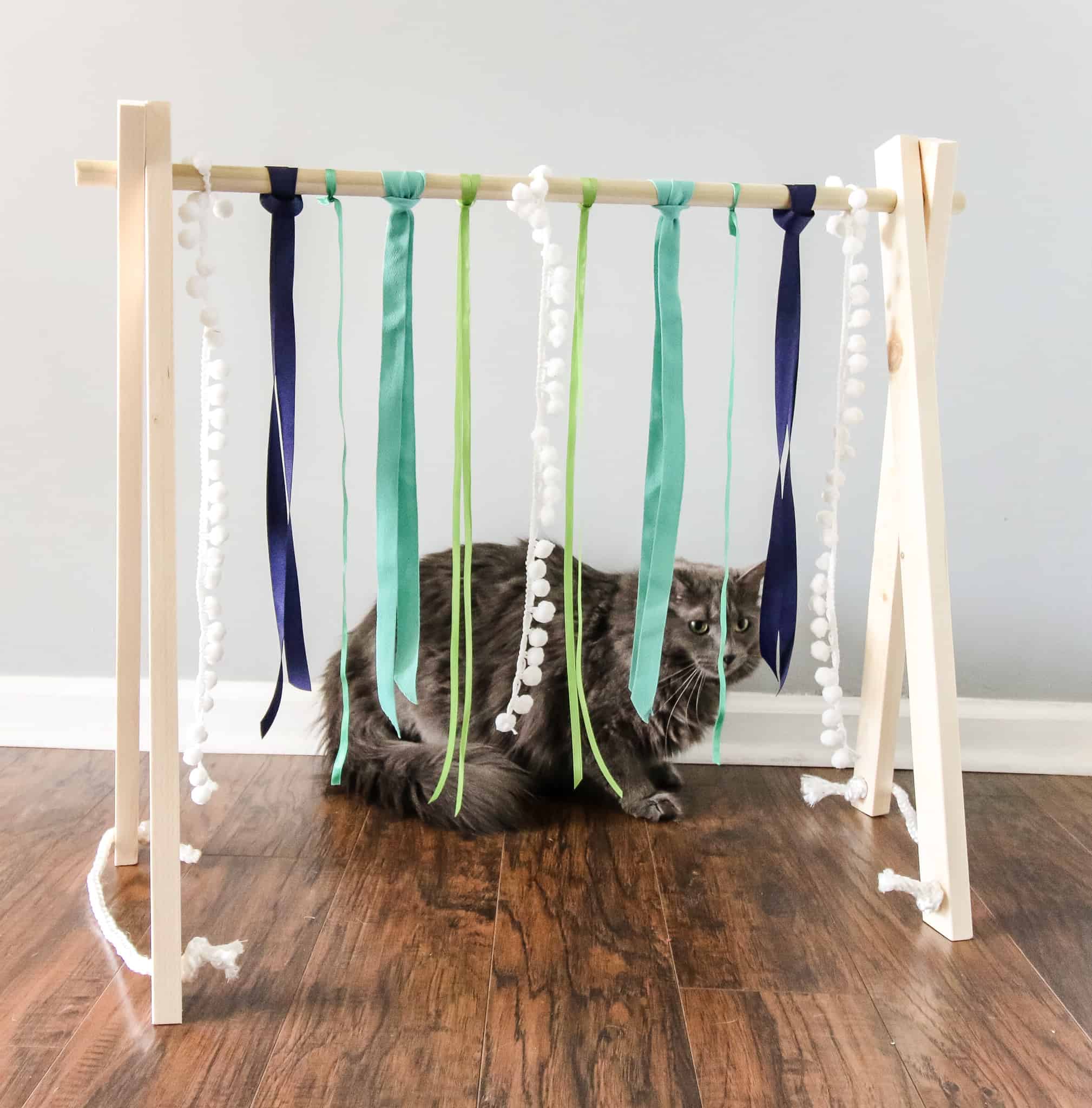 DIY Cat Toys DIY Cat Toys