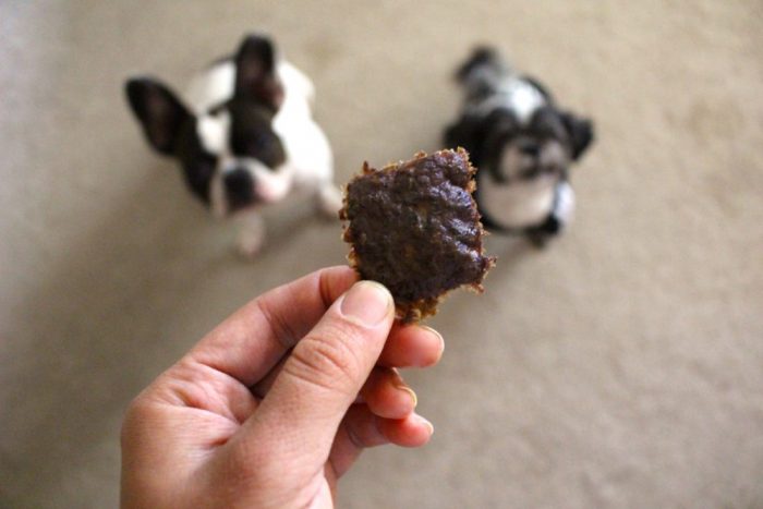 dog treats