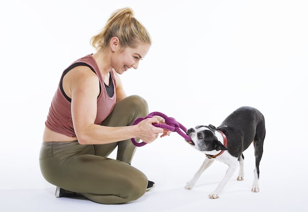 Workout With Your Dog