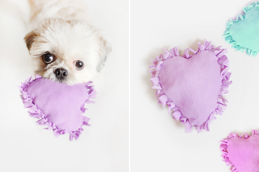 4 Easy DIY Dog Toys to Keep your Dog Busy