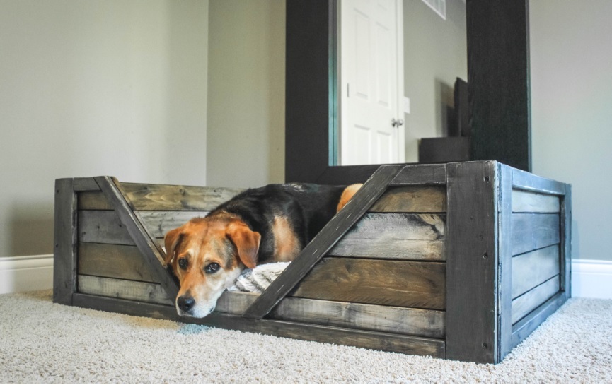 dog beds dog beds