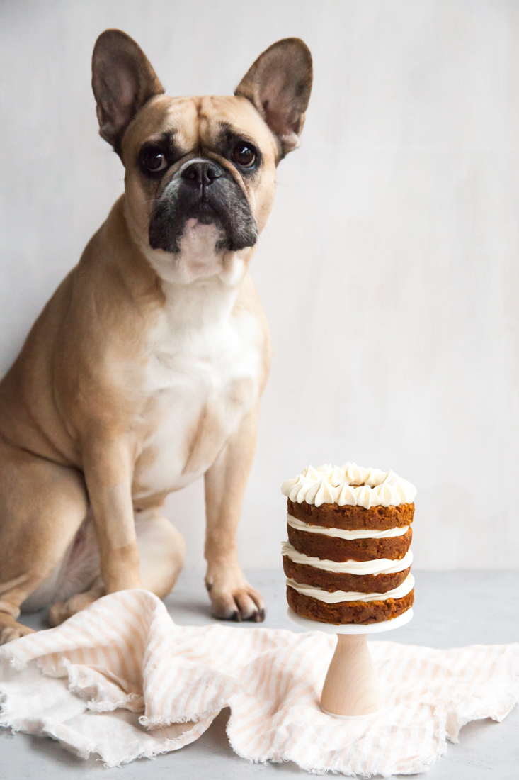 dog cake