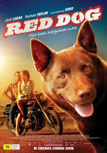 Dog Movies Dog Movies