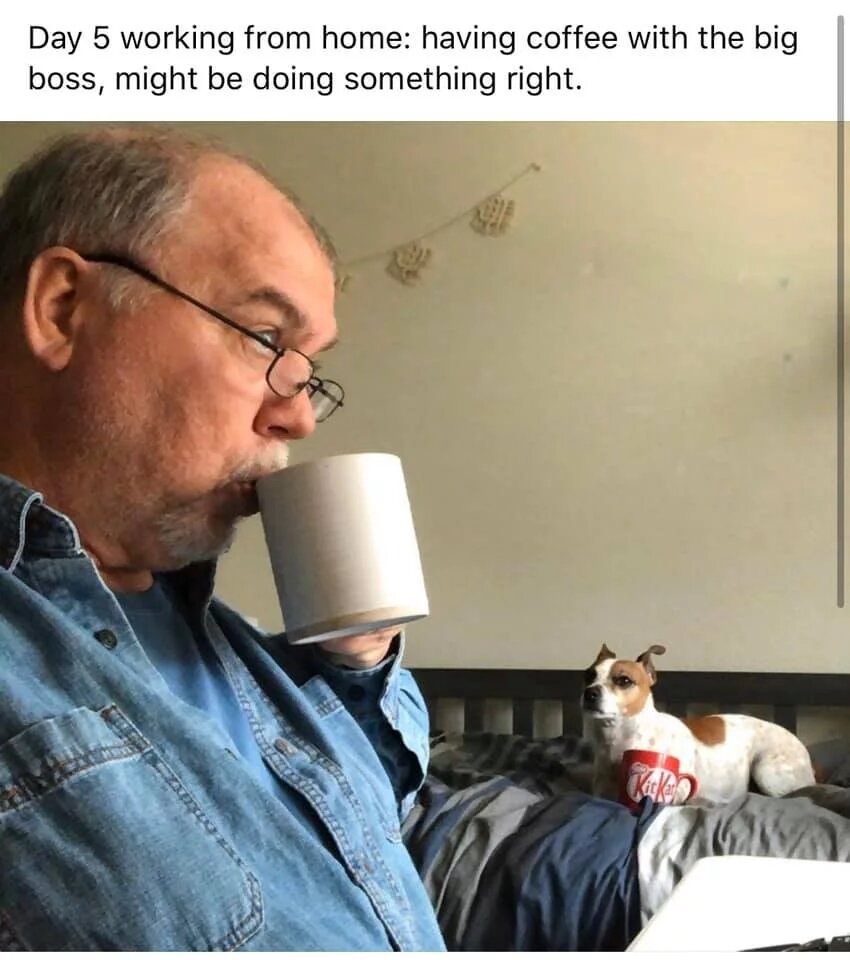 Dad and Dog Meme