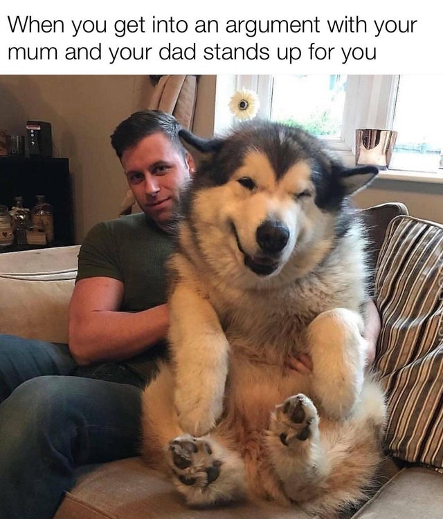 Dad and Dog Meme