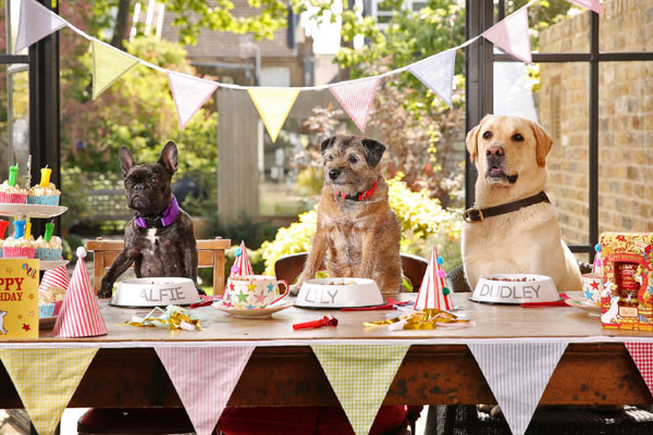 Dog Birthday Cake