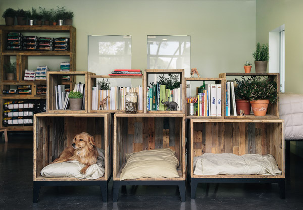 Cool Dog Beds