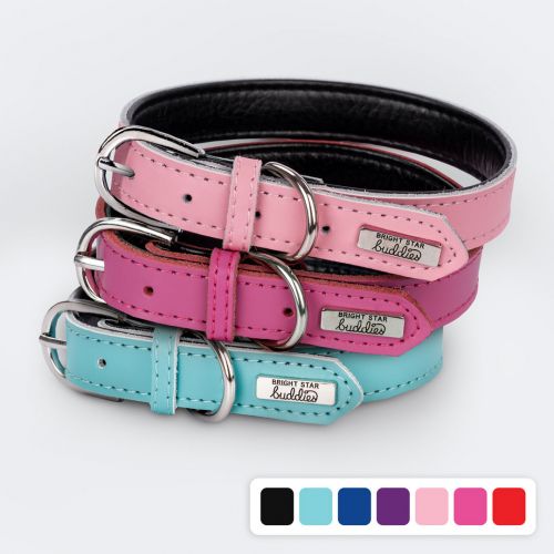 Premium Dog Collars
