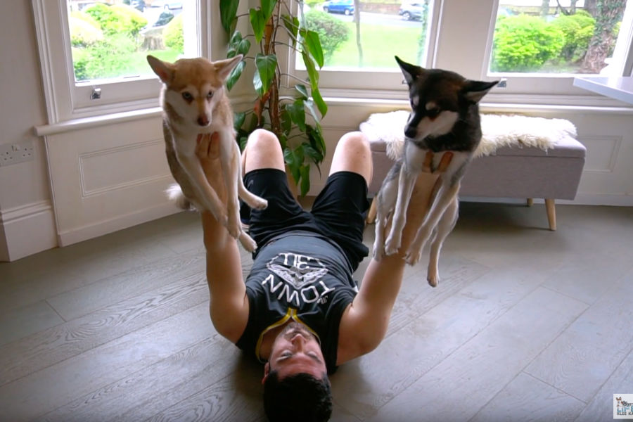 Workout With Your Dog