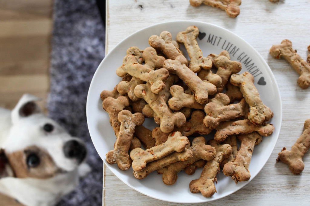 dog treats