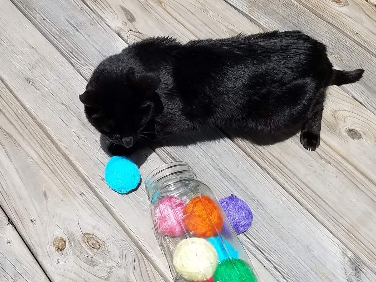 DIY Cat Toys