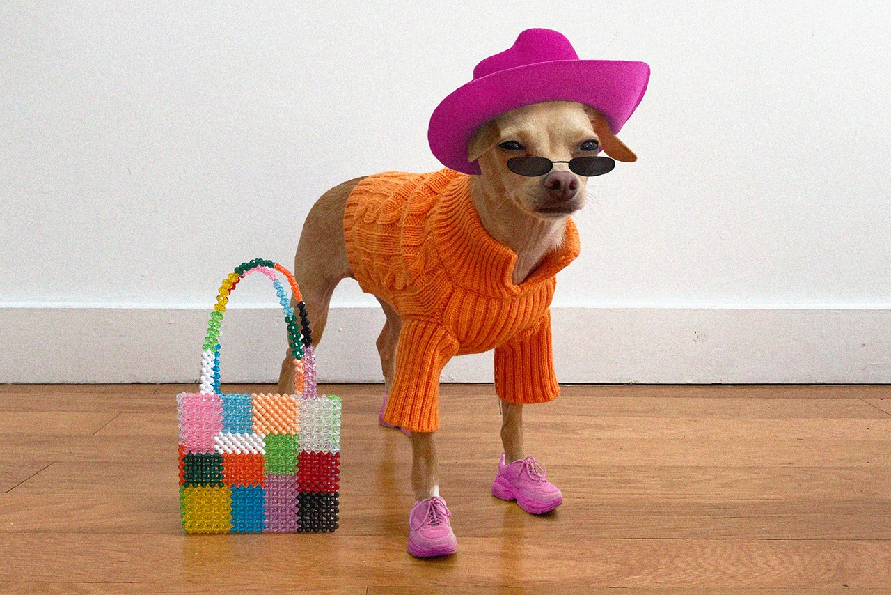 Designer Dog Fashion 