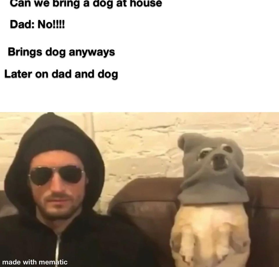 Dad and Dog Meme