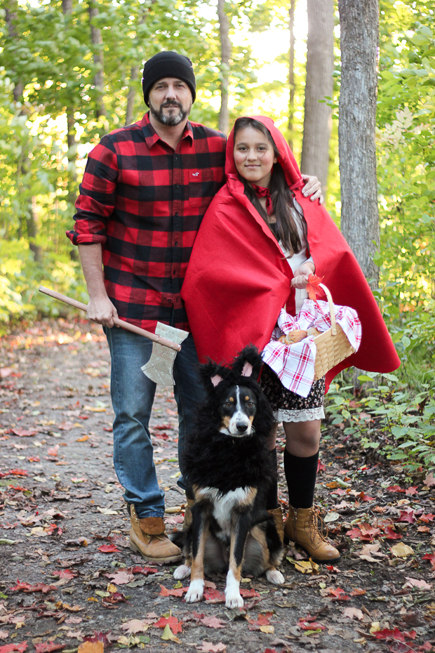 Cute Dog And Owner Halloween Costumes