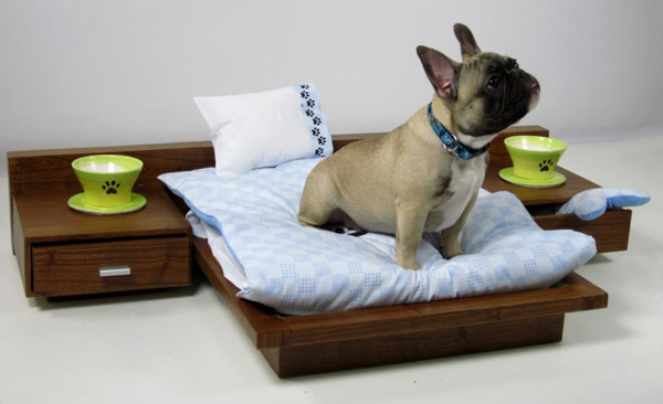 Cool Dog Beds