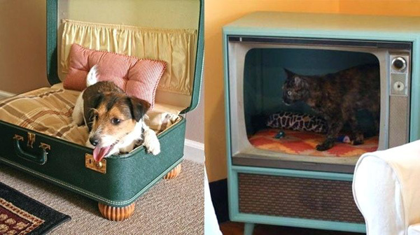 Dog Beds- From Outrageous to DIY - BSB