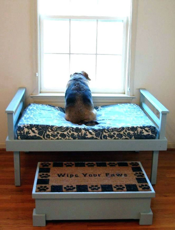 Cool Dog Beds