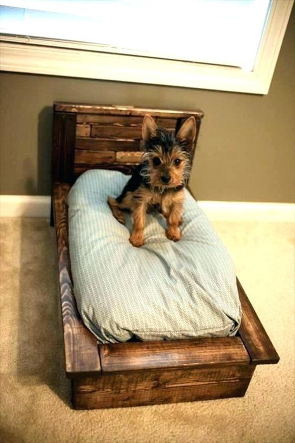 Cool Dog Beds